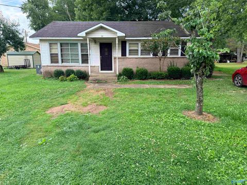 Homes For Sale - 60 Williamson Street<br/> Paint Rock, AL 35764