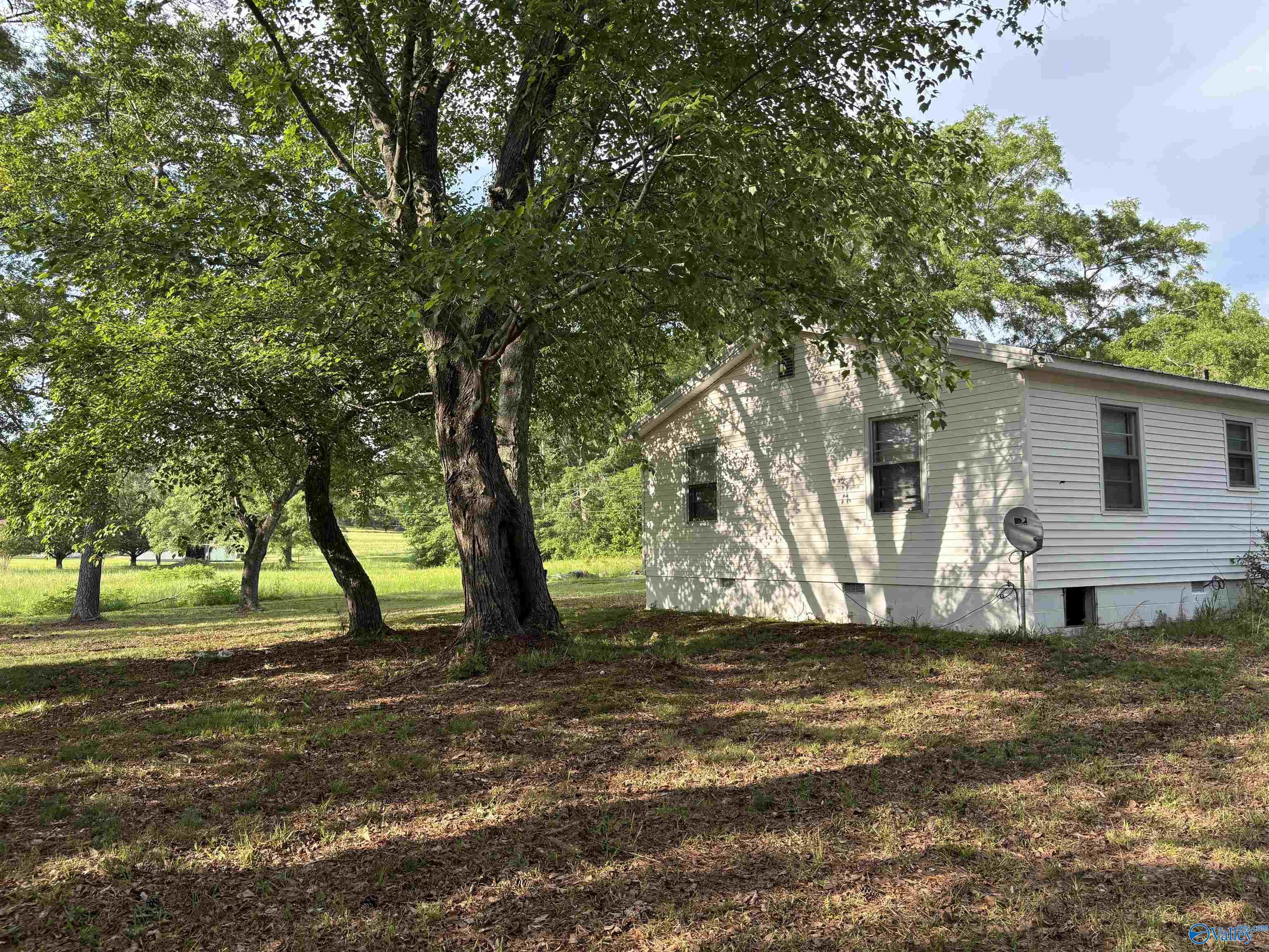 4475 Reagan Road, Altoona, Alabama image 3