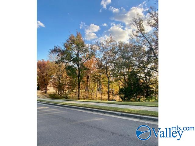 4005 Hawks Way, Huntsville, Alabama image 2