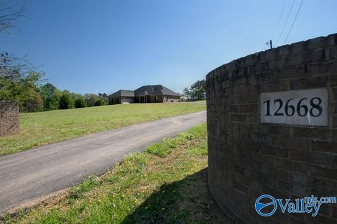 Photo of 12668 Pulaski Pike, Toney, AL 35773 (MLS # 21915584)