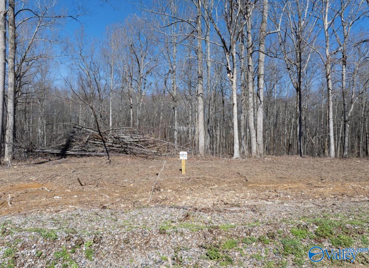 Lot 7 County Road 825, Scottsboro, Alabama image 1