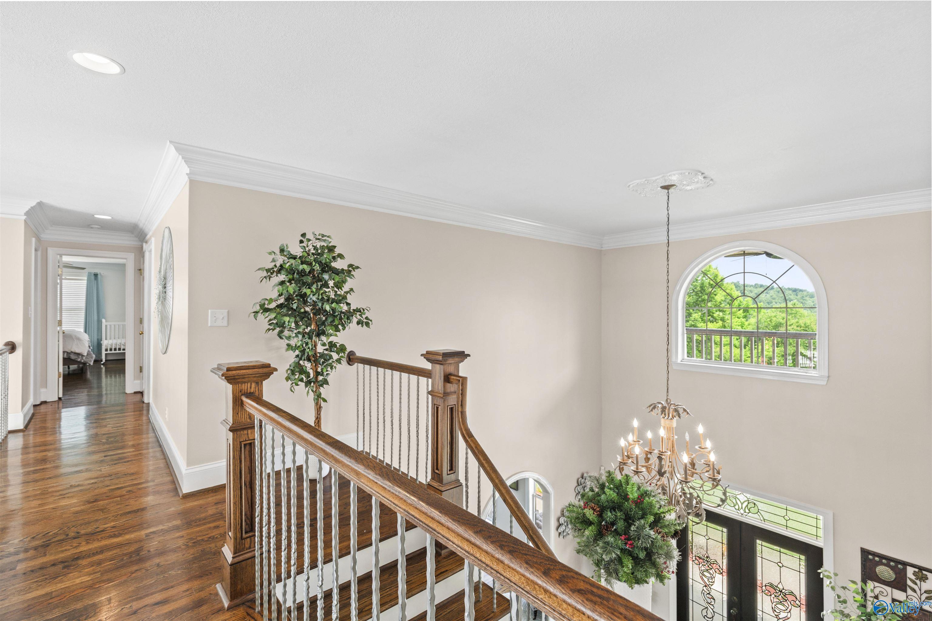 758 County Road 555, Valley Head, Alabama image 22