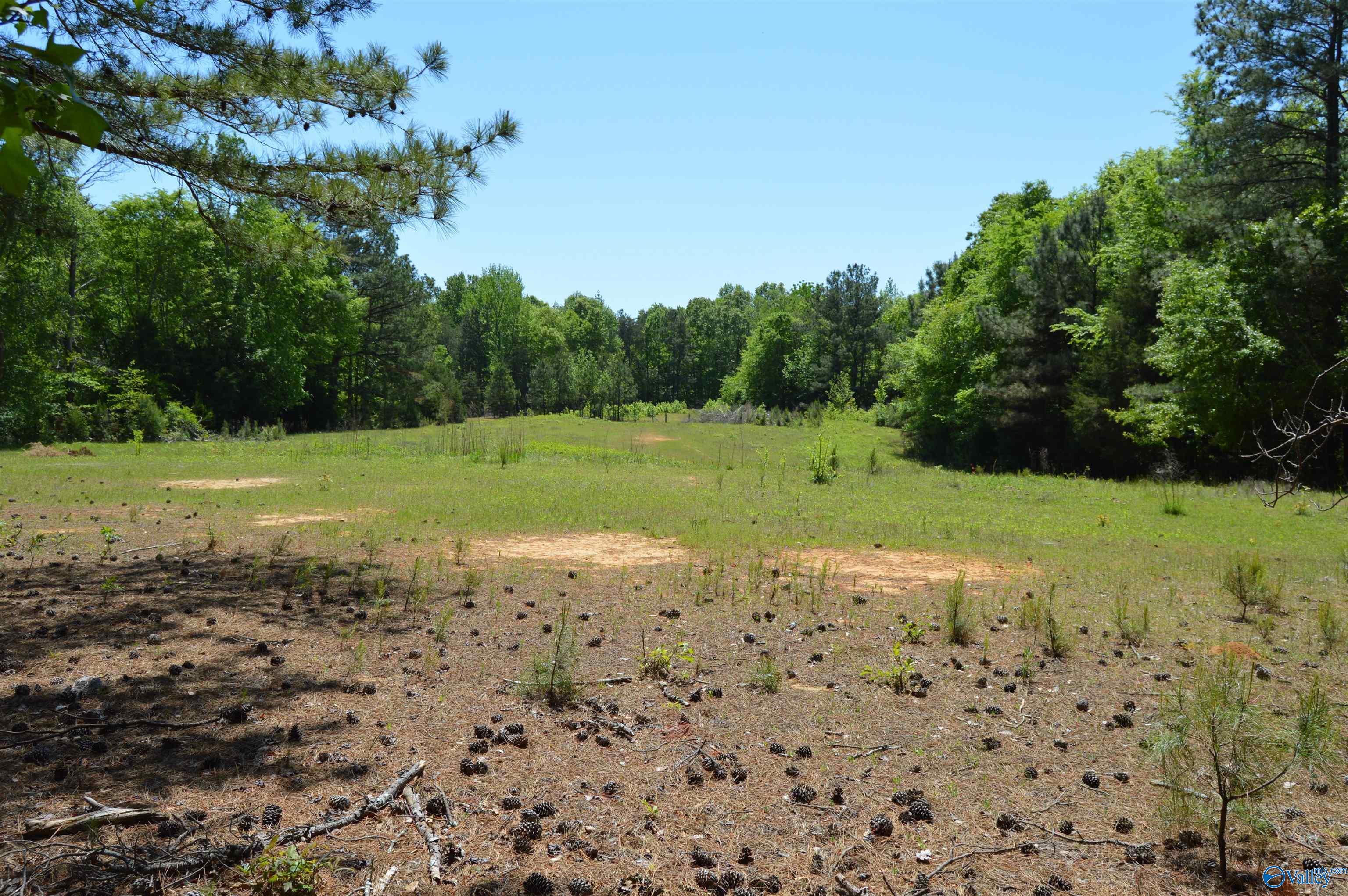 19.55 AC Herring Road, Hartselle, Alabama image 2