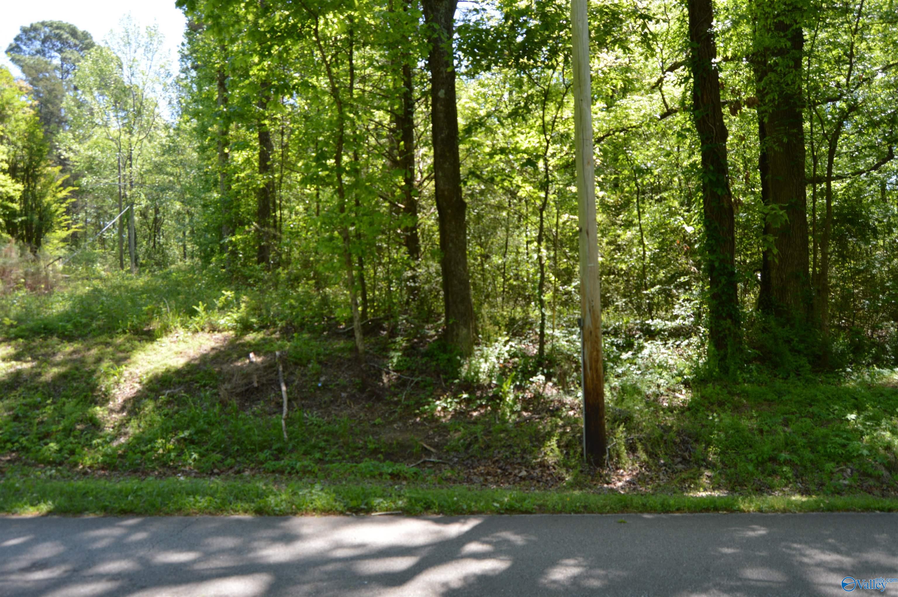 19.55 AC Herring Road, Hartselle, Alabama image 3