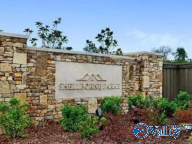 126 Fellington Court, New Market, Alabama image 29