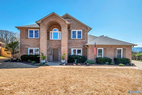 Photo of 12003 Brian Lake Court SE, Huntsville, AL 35803 (MLS # 21913091)