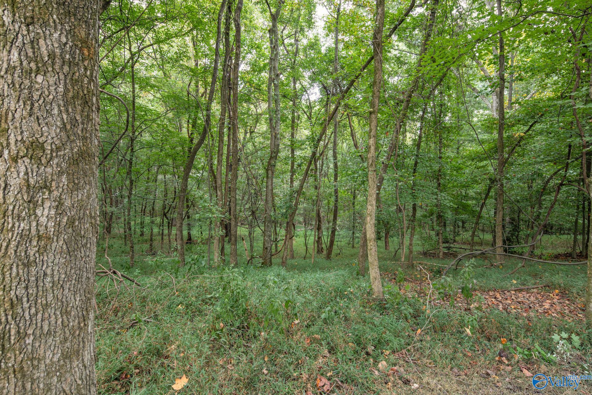 Lot 6 Block 4 Sulpher Creek, Elkmont, Alabama image 29