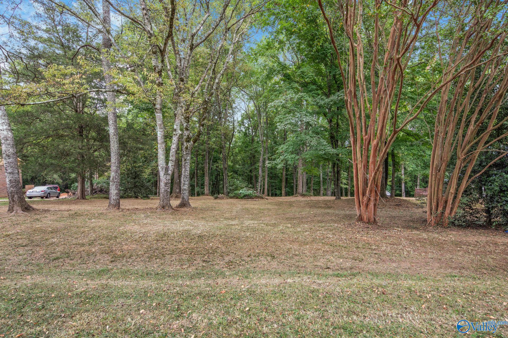 Lot 6 Block 4 Sulpher Creek, Elkmont, Alabama image 2