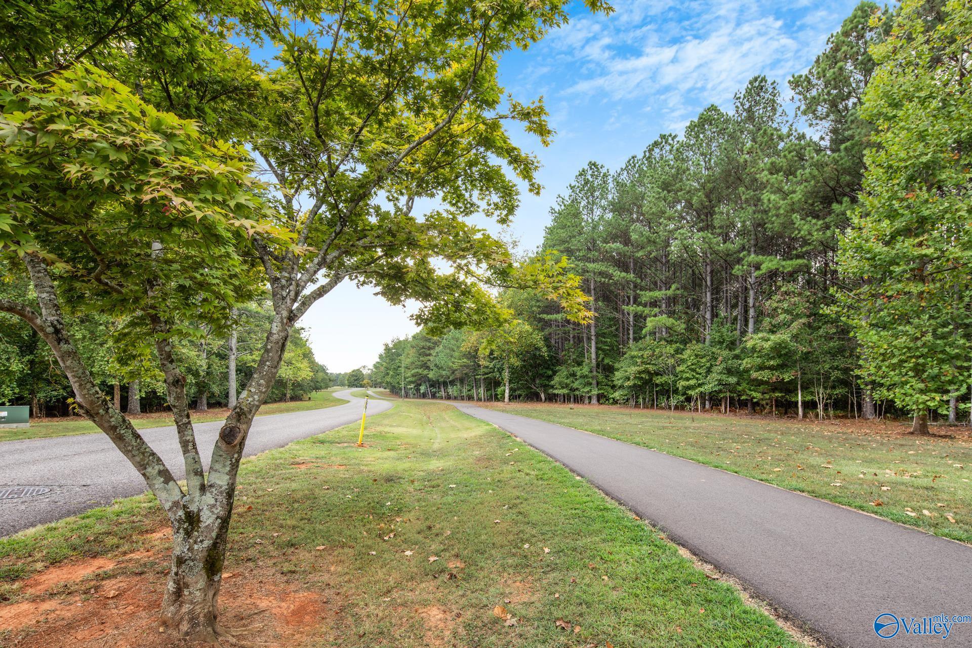 Lot 6 Block 4 Sulpher Creek, Elkmont, Alabama image 28