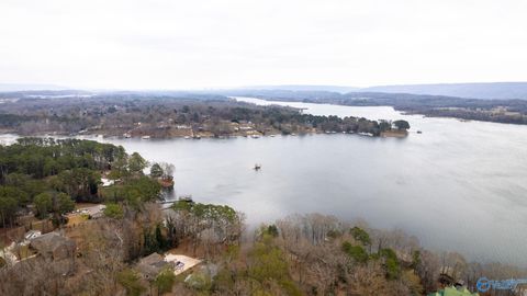 Homes For Sale - 9.39 ACRES Winn Road<br/> Scottsboro, AL 35769