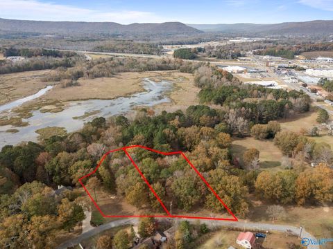 Vacant Land For Sale - 2.99 AC Riverview Circle<br/> Jackson County, Scottsboro, AL 35769