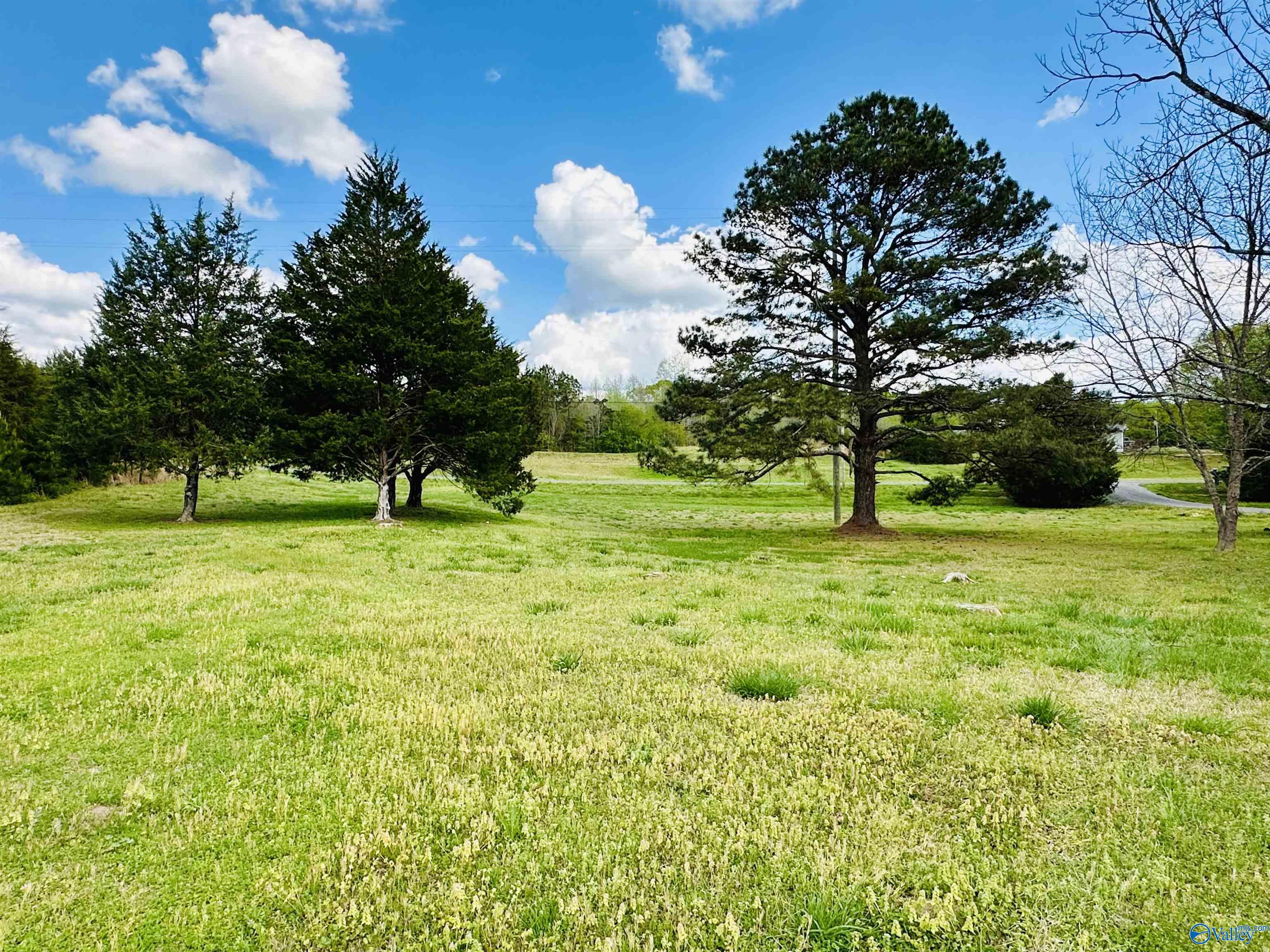 85 Washburn Circle, Gallant, Alabama image 49