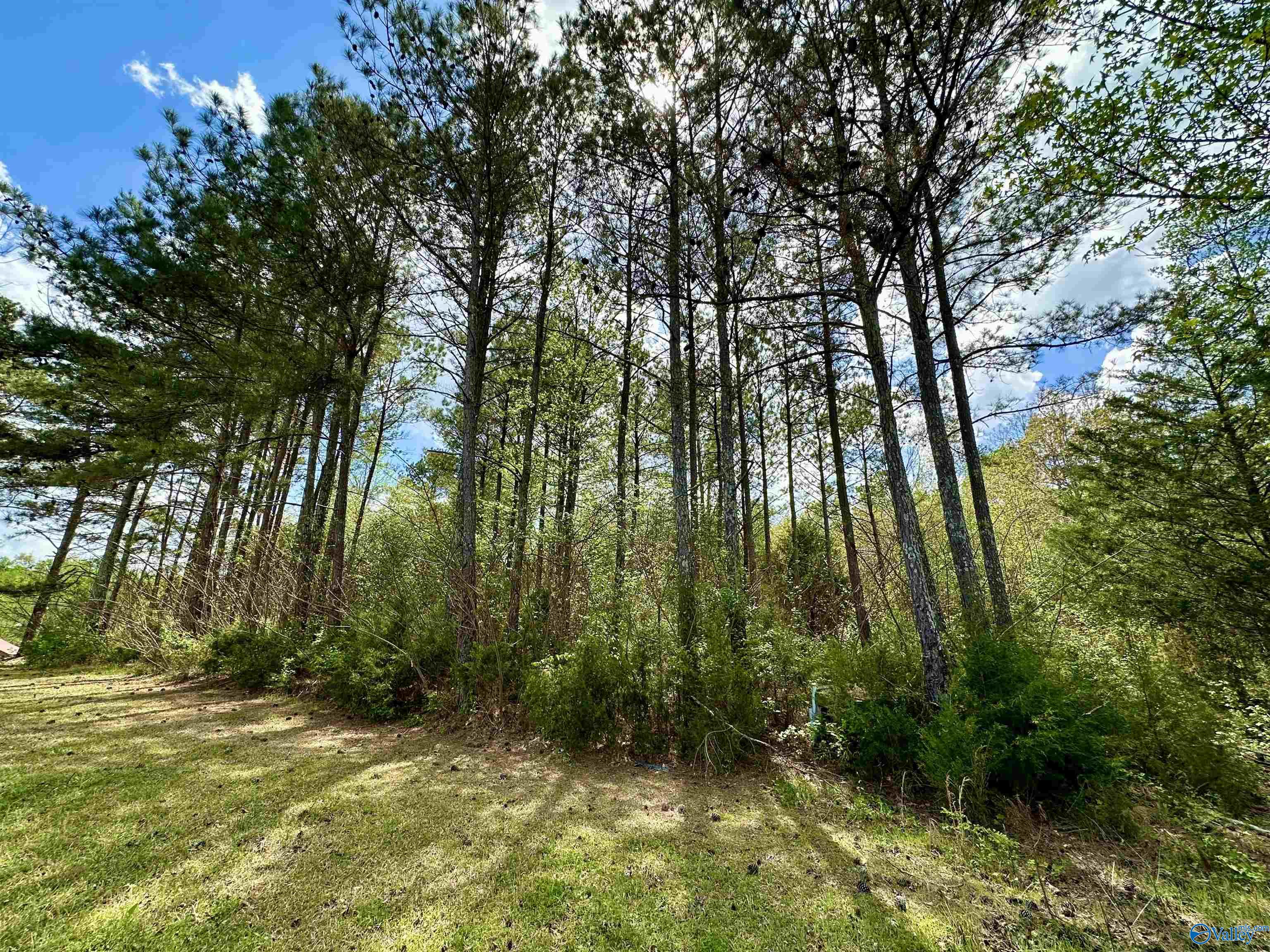 85 Washburn Circle, Gallant, Alabama image 42