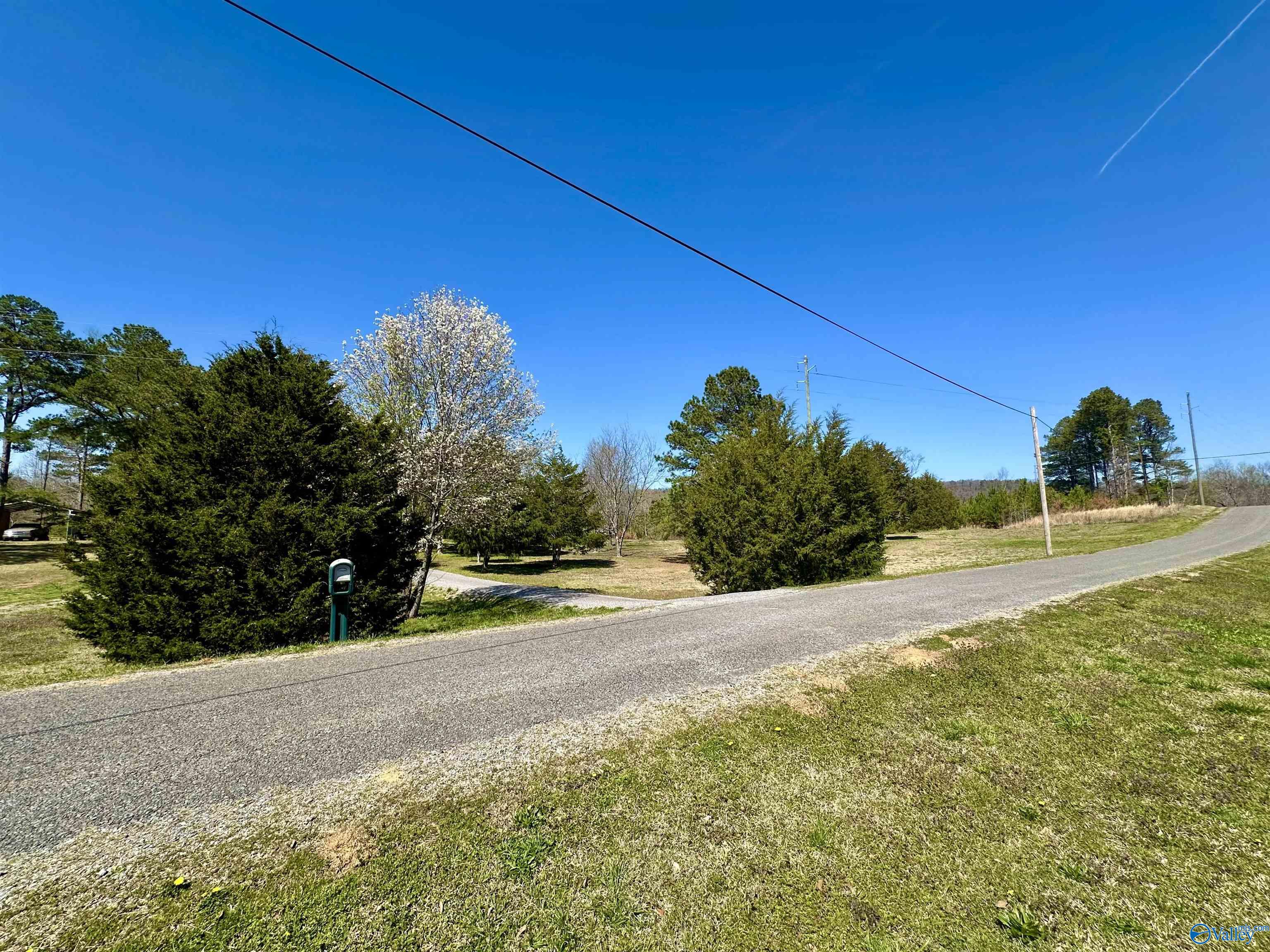 85 Washburn Circle, Gallant, Alabama image 4