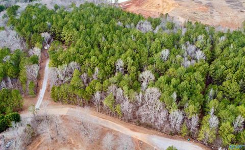 Vacant Land For Sale - LOT 11 County Road 328<br/> Cherokee County, Piedmont, AL 36272