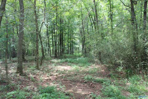 Vacant Land For Sale - 14.28 Blue Pond Blvd<br/> Dekalb County, Sylvania, AL 35988