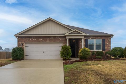 Homes For Rent - 134 Natalie Jane Drive<br/> Hazel Green, AL 35750