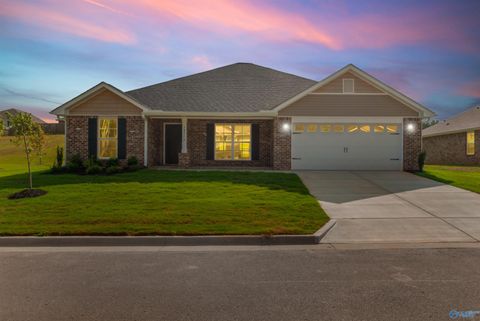 14199 Wildflower Drive Harvest AL 35749