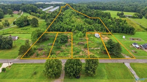 Vacant Land For Sale - 301-325 County Road 315<br/> Bryant, AL 35958