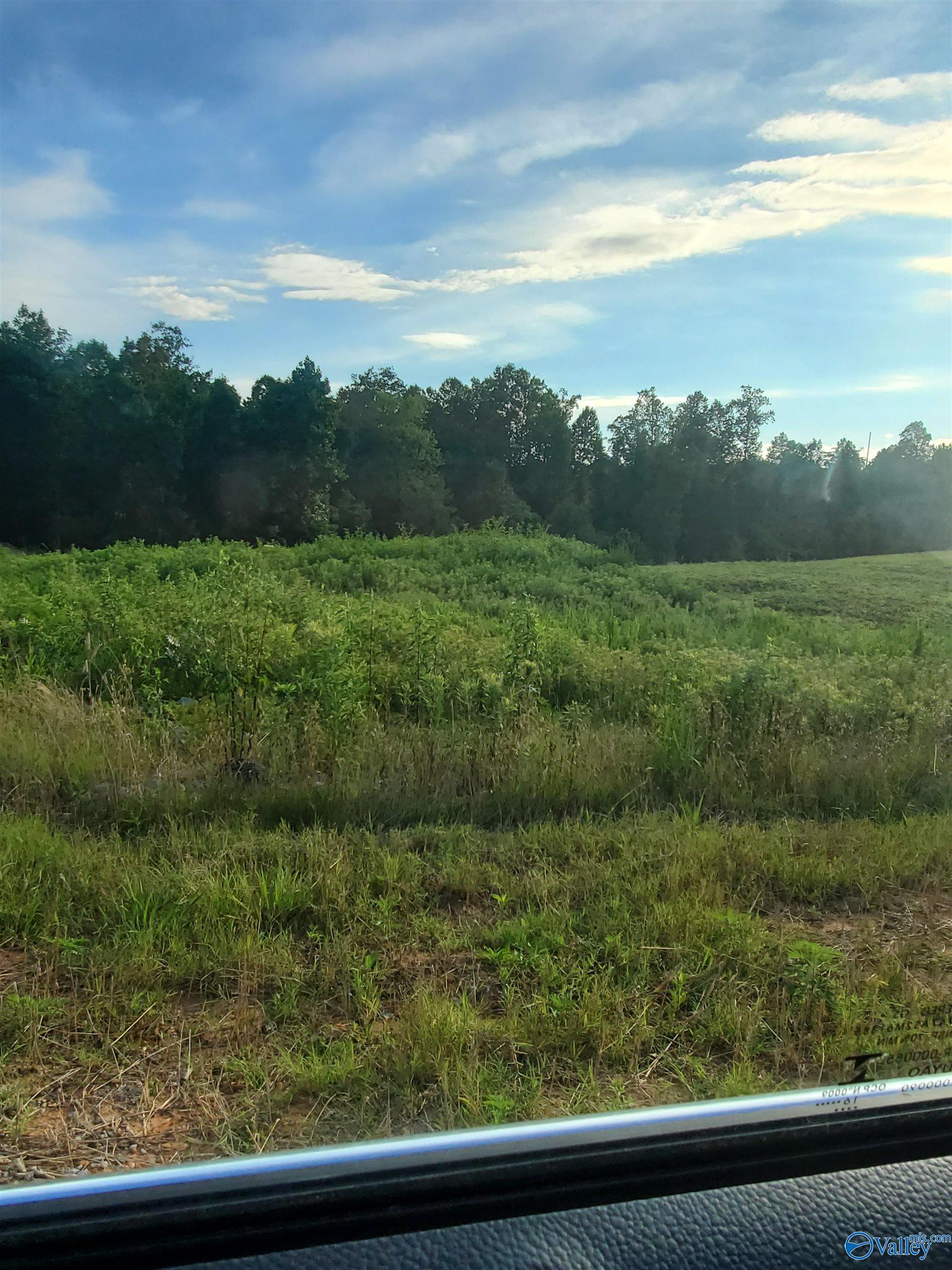 Lot 7 County Road 373