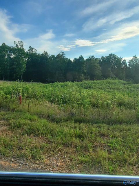 Lot 7 County Road 373 Crane Hill AL 35053