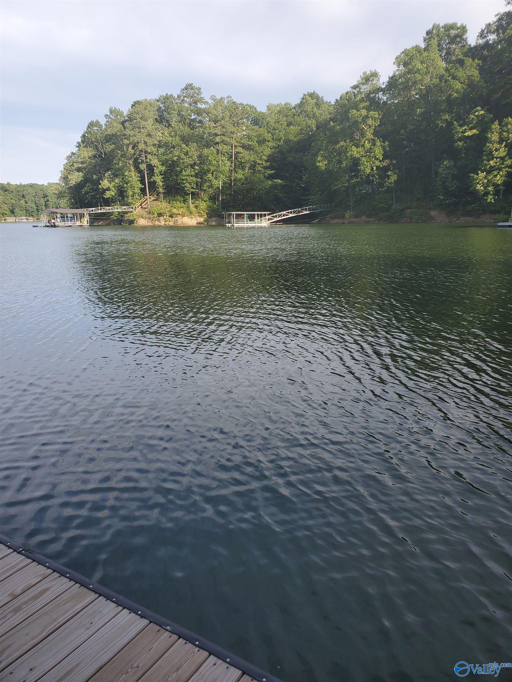 Lot 7 County Road 373