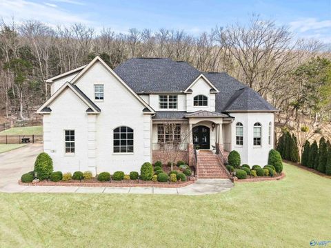 Photo of 5 Brennan Hill Lane, Gurley, AL 35748 (MLS # 21911582)