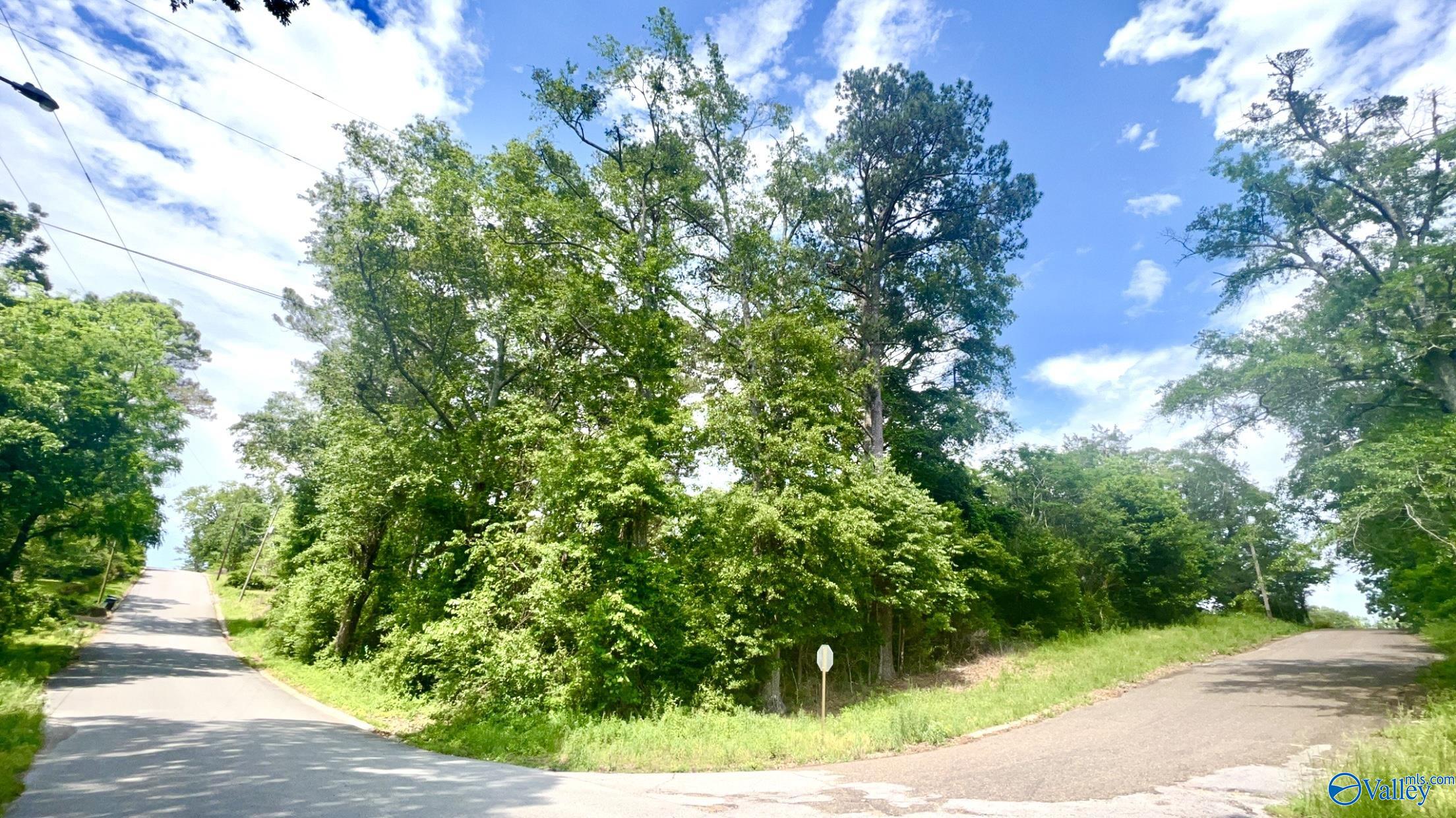 1.15 Acre 10th Avenue, Haleyville, Alabama image 2