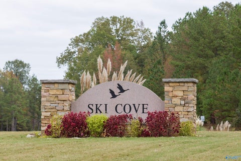 Vacant Land For Sale - LOT 30 Ski Cove Drive<br/> Jackson County, Scottsboro, AL 35769