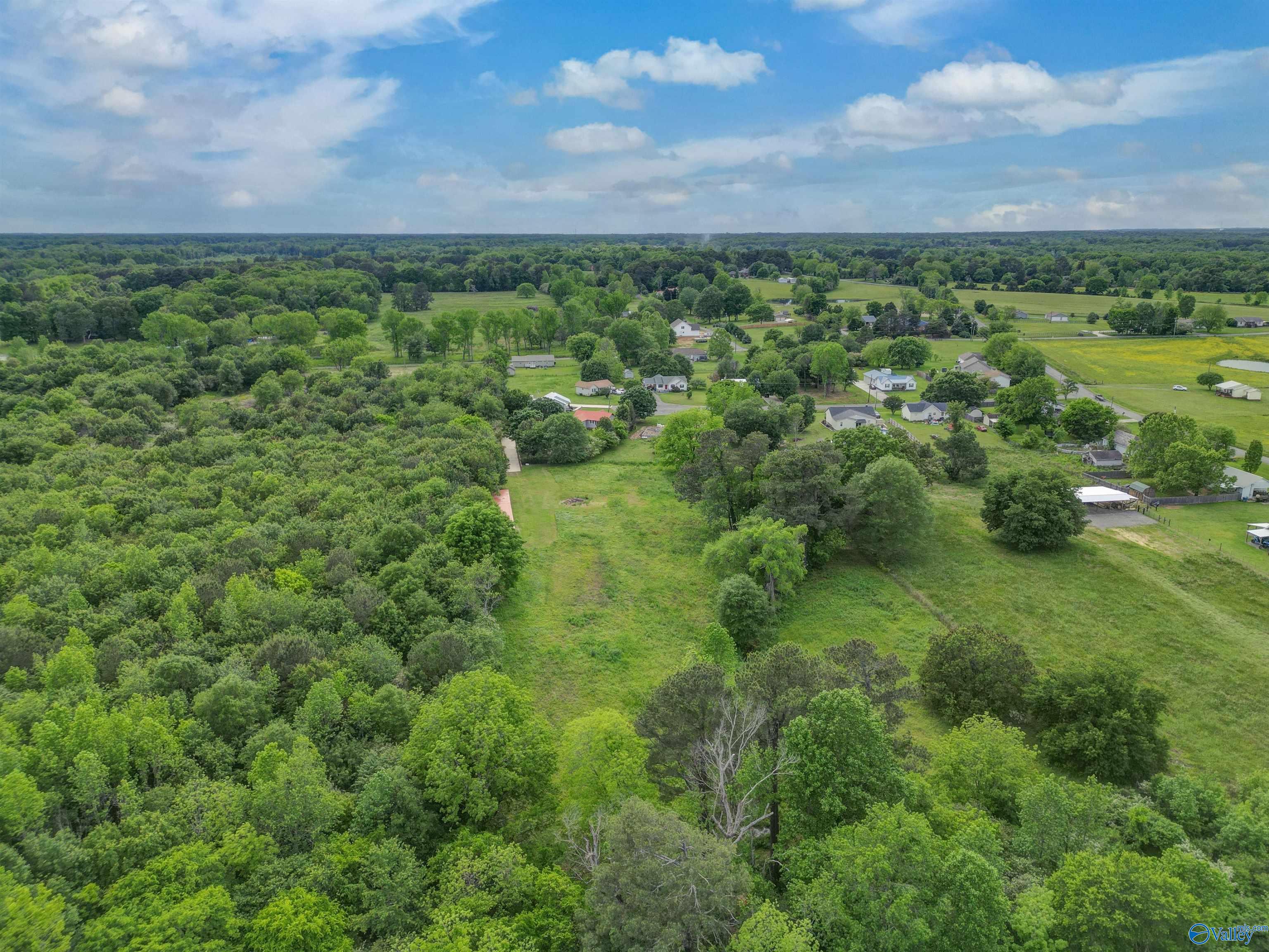 160 Mink Creek Lane, Arab, Alabama image 27
