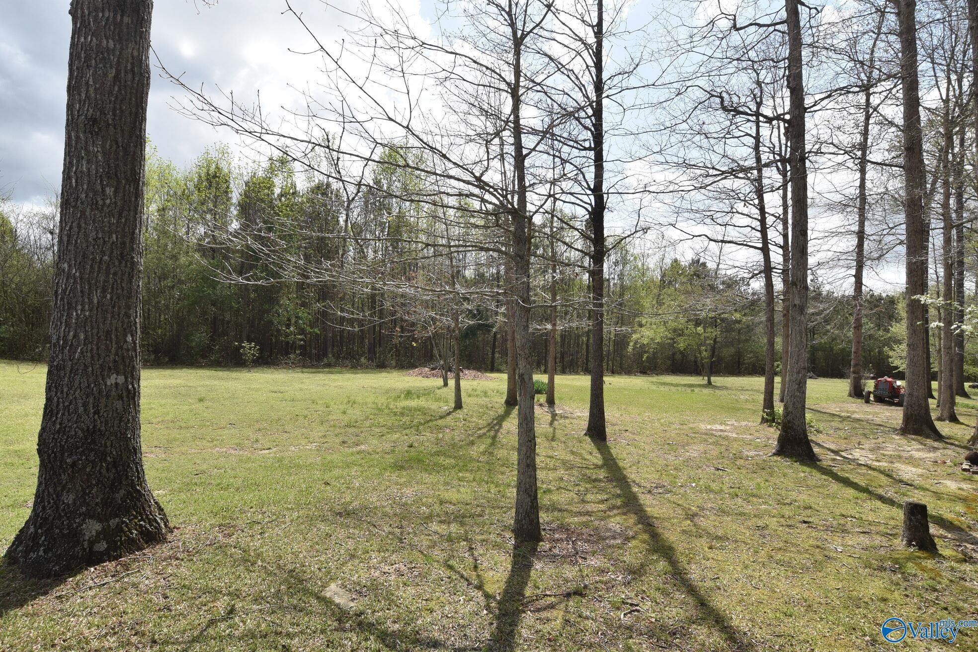 155 Ashworth Lane, Guntersville, Alabama image 33