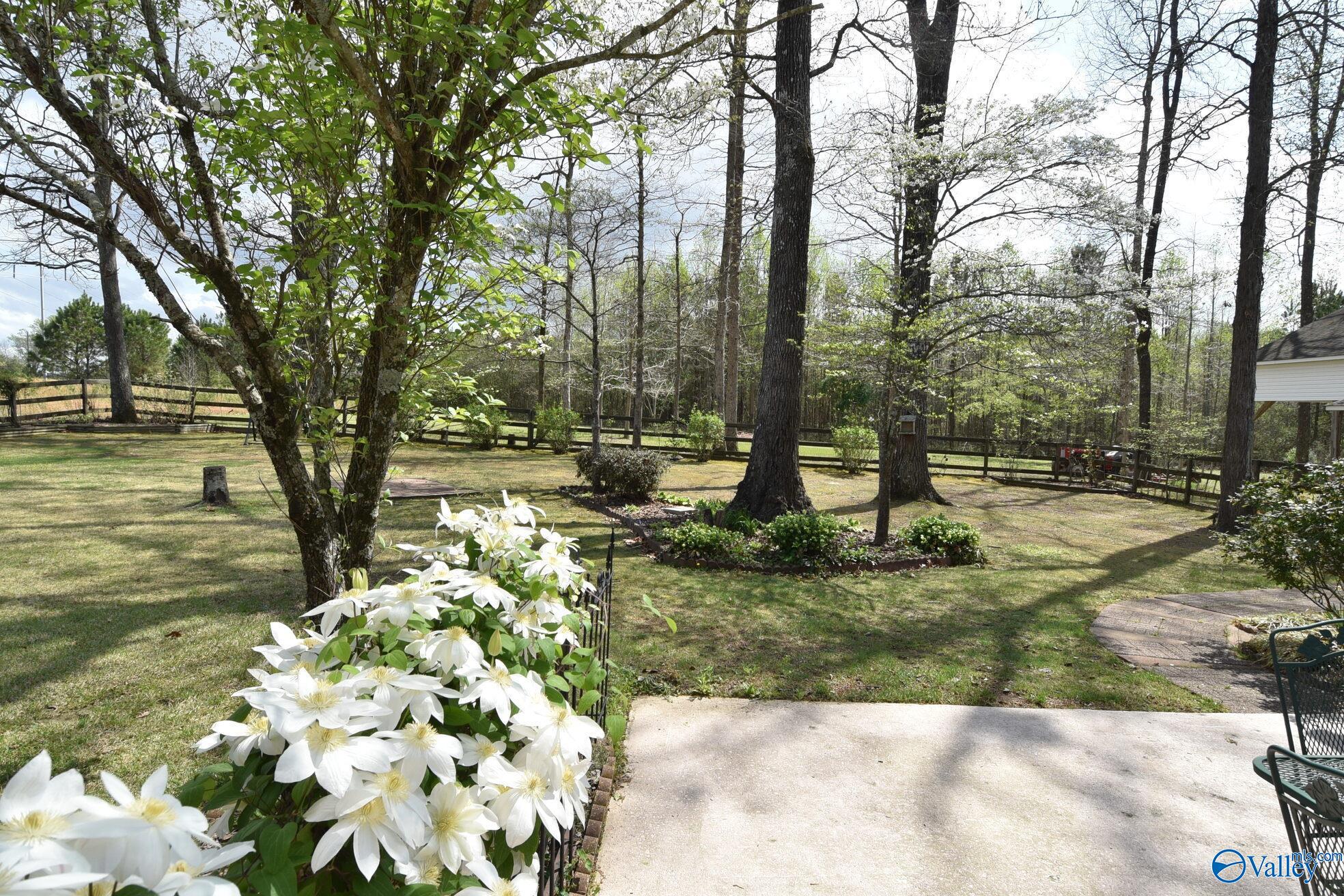 155 Ashworth Lane, Guntersville, Alabama image 30