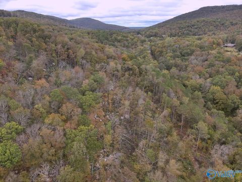 Vacant Land For Sale - 930 Dug Hill Road<br/> Madison County, Brownsboro, AL 35741