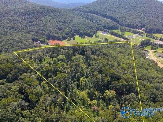 930 DUG HILL RD, BROWNSBORO, AL 35741 - Image f3e3c7c078c039b92f6bfd85d3470e03/758950247