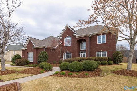 Photo of 3049 Twelvestones Road SE, Owens Cross Roads, AL 35763 (MLS # 21912765)