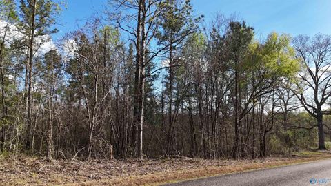 Vacant Land For Sale - 06 County Road 14<br/> Muscadine, AL 36269