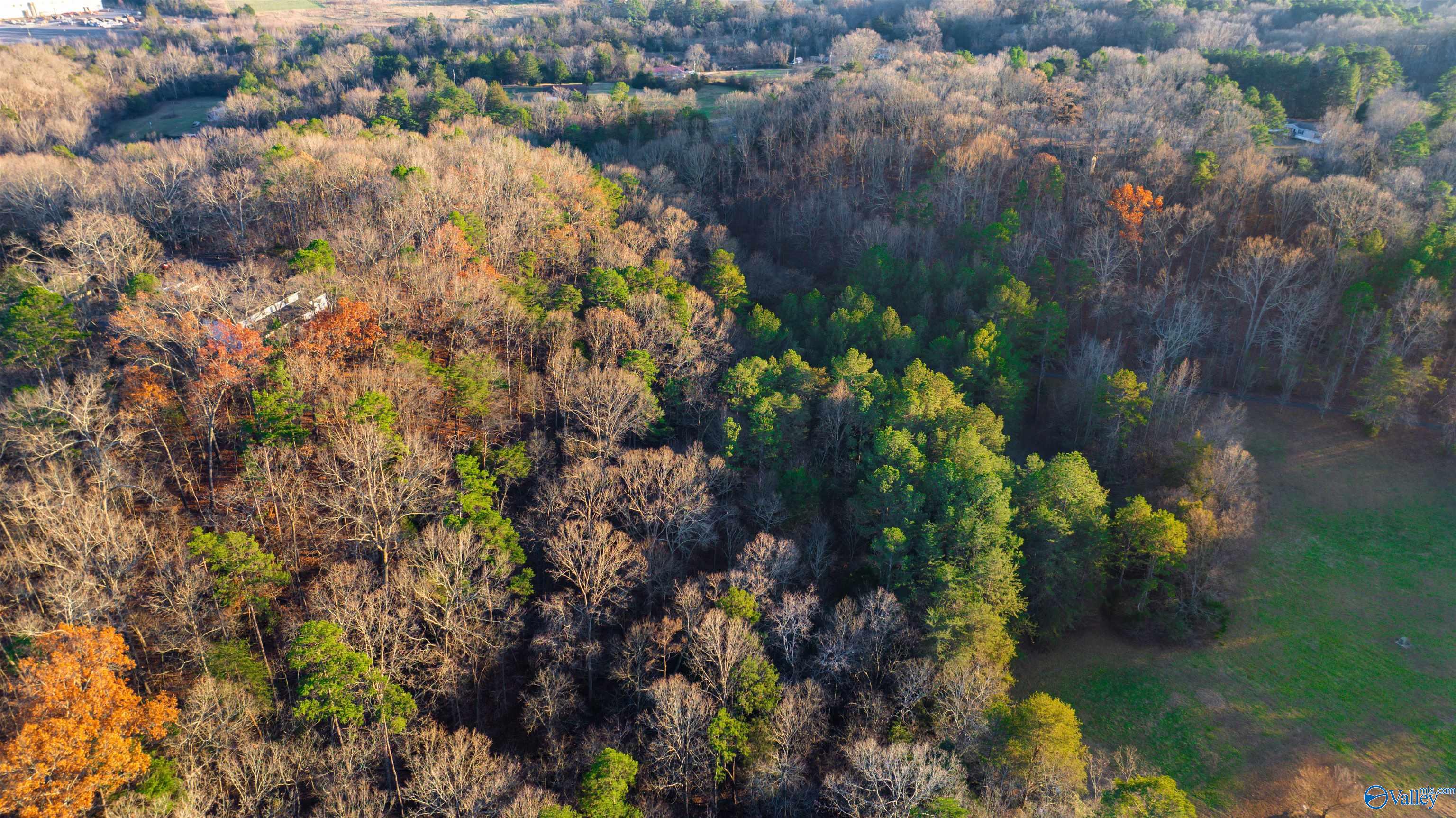 12 Acres Browder Road, Fort Payne, Alabama image 9