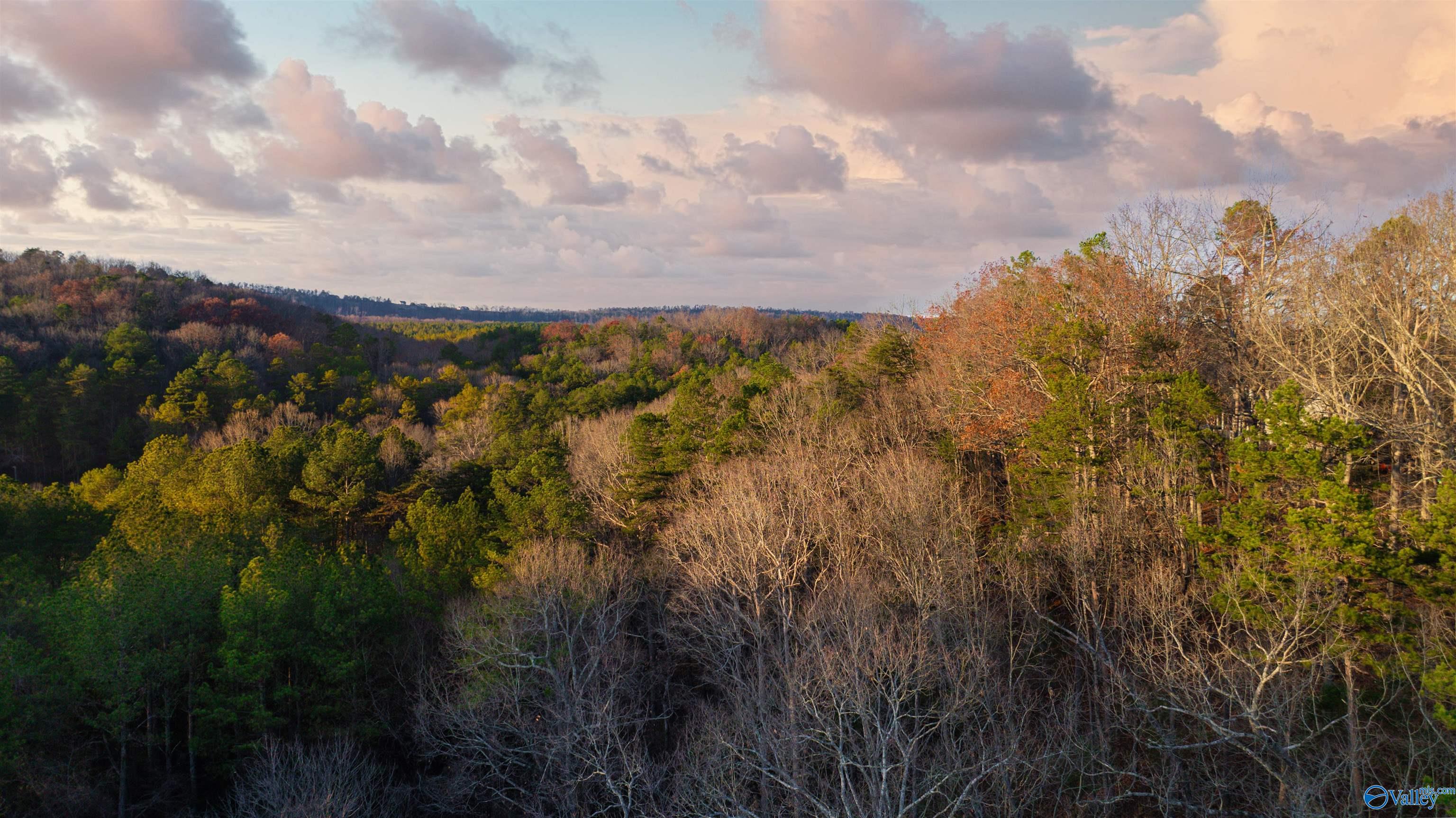 12 Acres Browder Road, Fort Payne, Alabama image 17