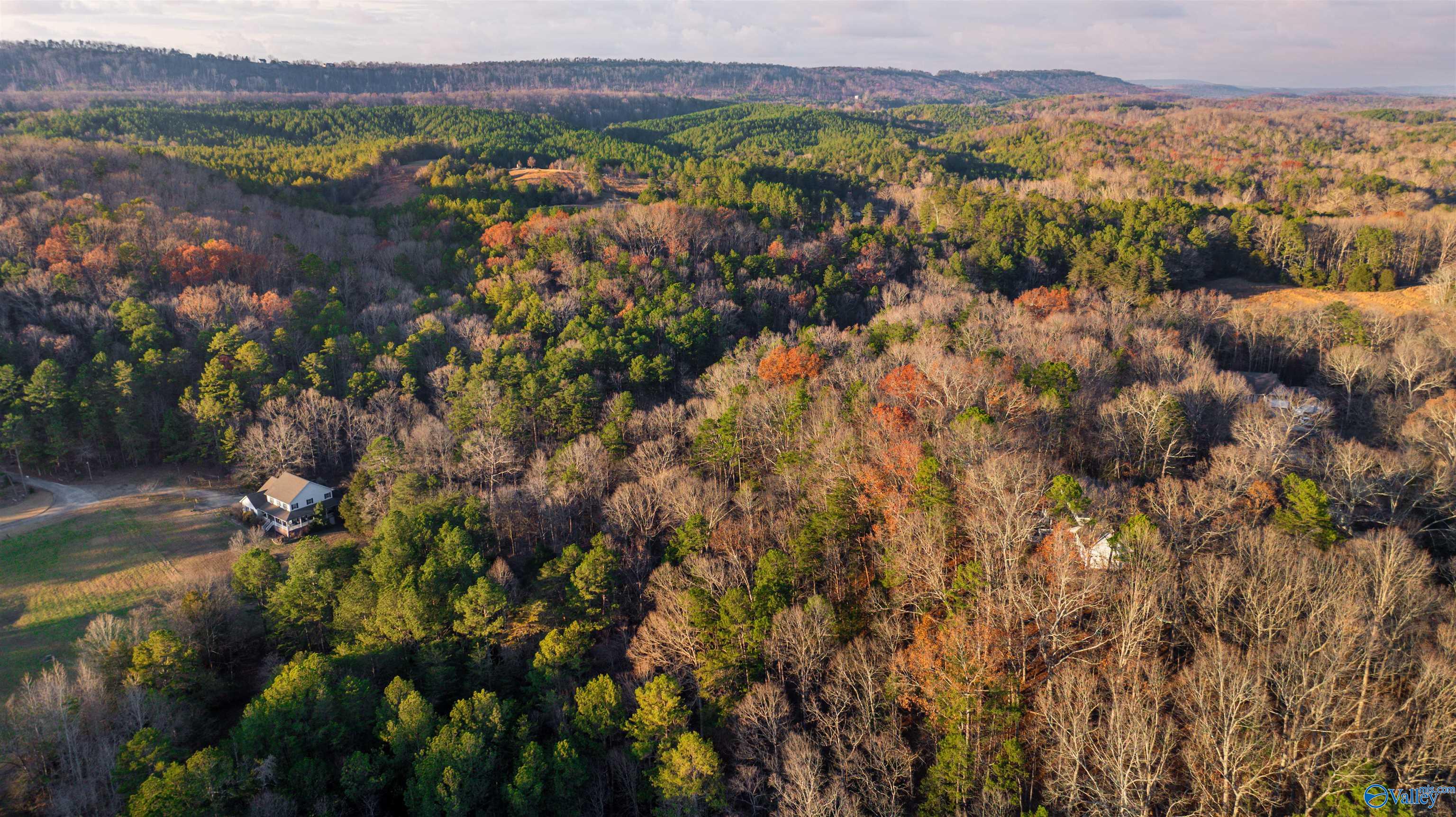 12 Acres Browder Road, Fort Payne, Alabama image 7