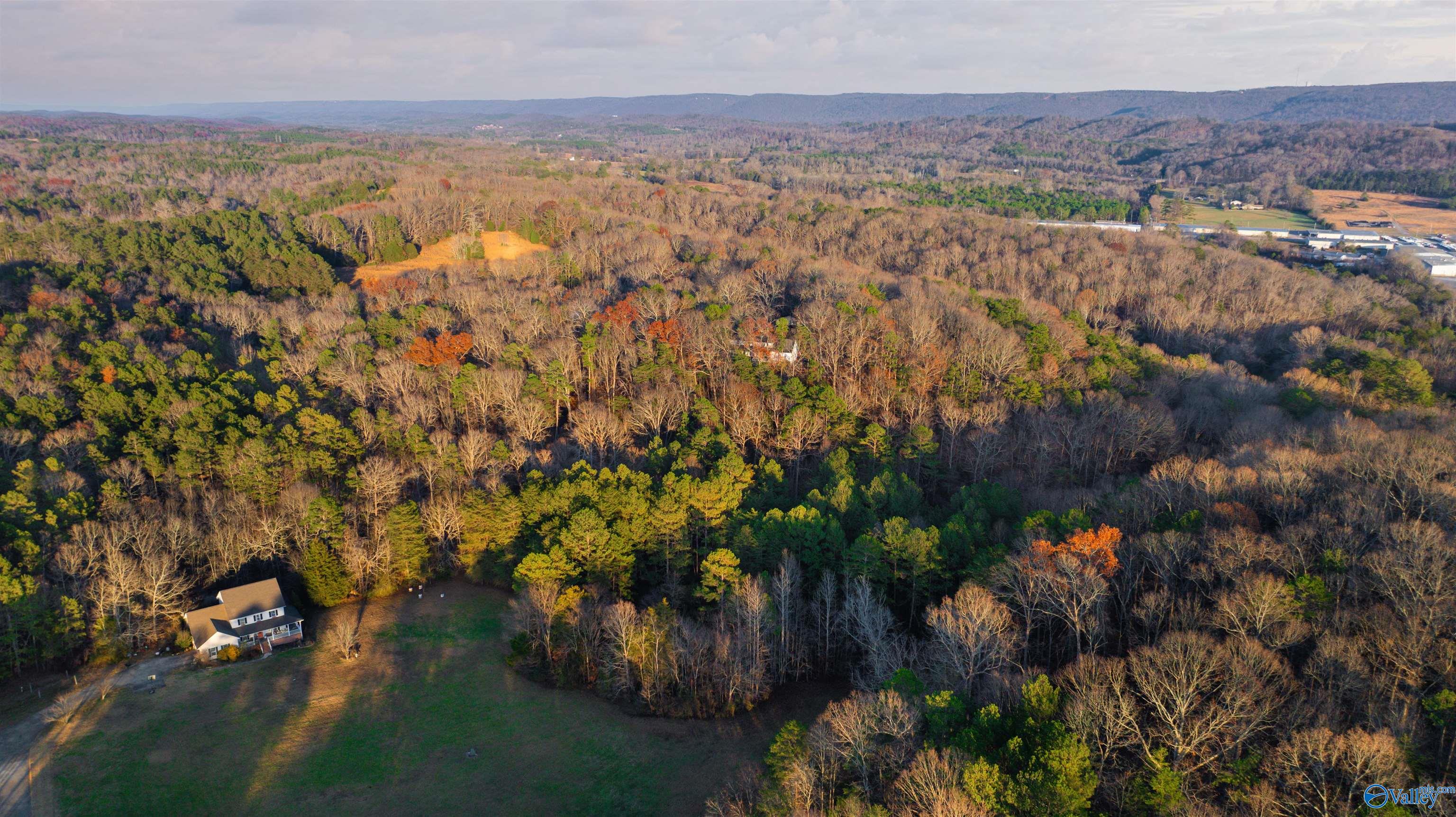 12 Acres Browder Road, Fort Payne, Alabama image 8