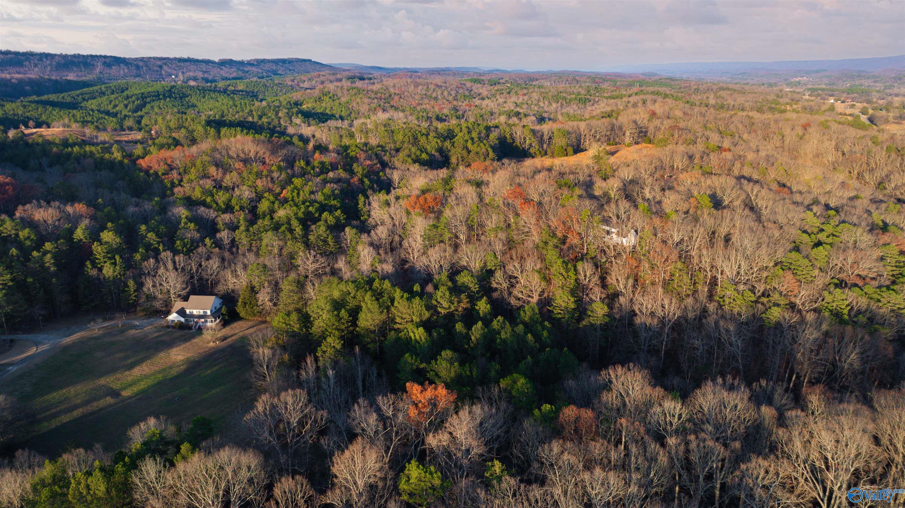 12 Acres Browder Road, Fort Payne, Alabama image 5