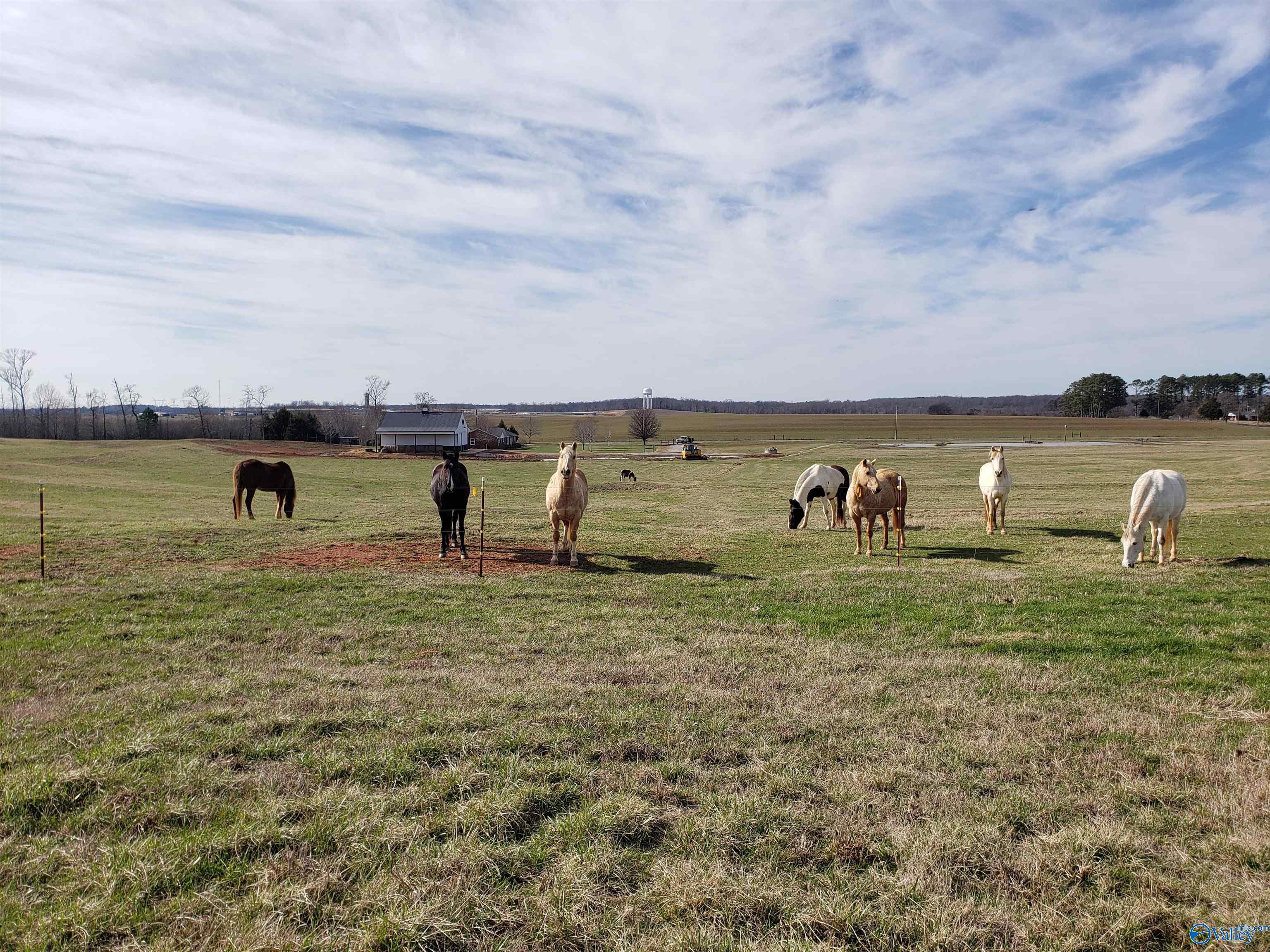 17929 Wales Drive, Harvest, Alabama image 4