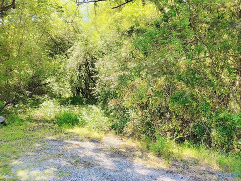Vacant Land For Sale - 7725 Lavender Road<br/> Jefferson County, Adger, AL 35006
