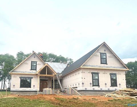 Homes For Sale - 213 Oakland View Drive<br/> Brownsboro, AL 35741