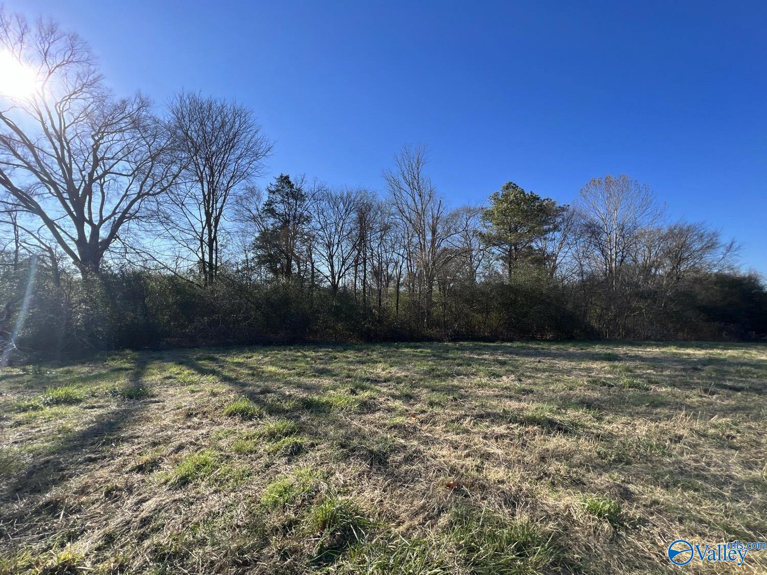 Lot 1 Matt Morrow Road, Arab, Alabama image 6