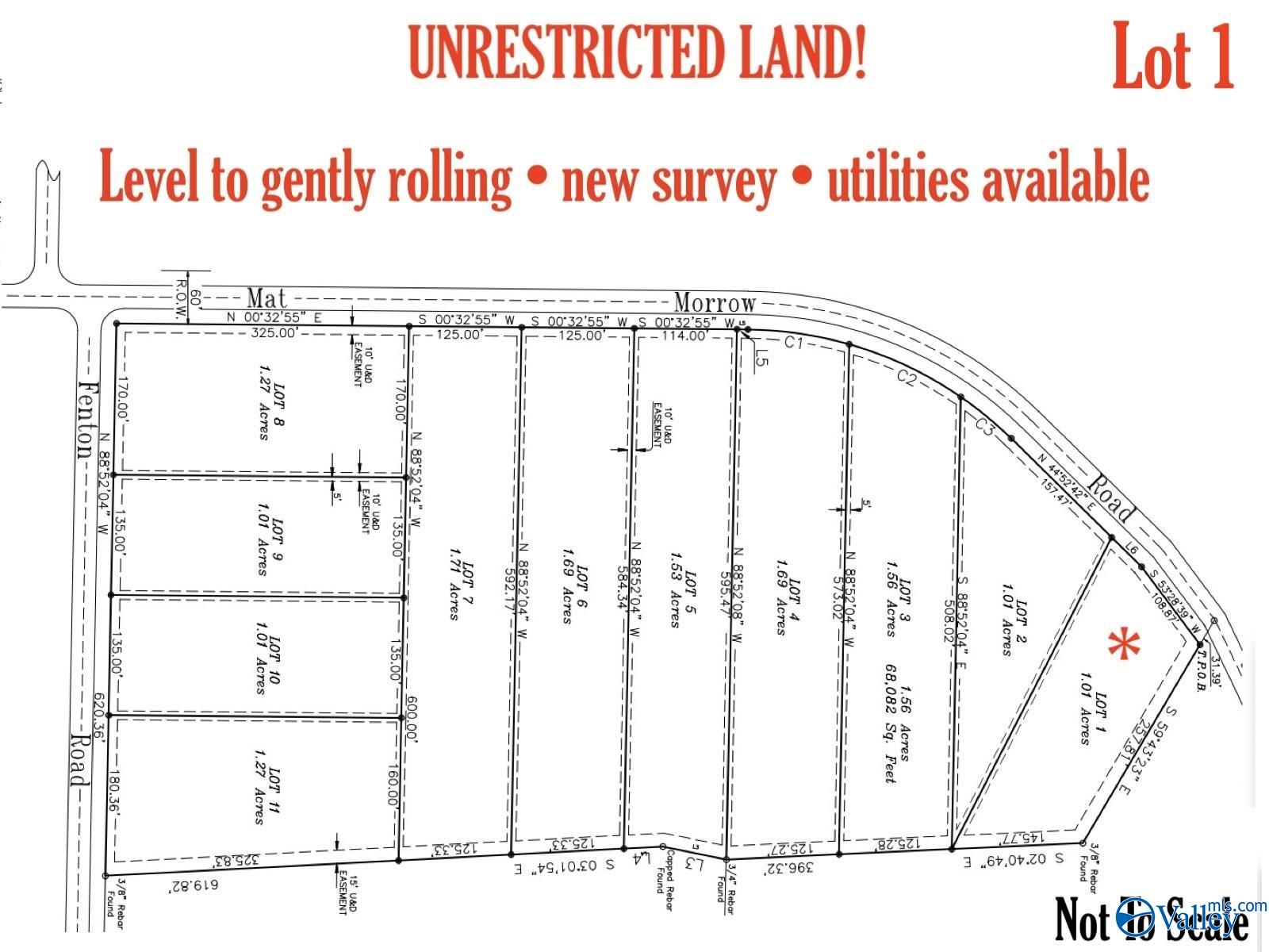 Lot 1 Matt Morrow Road, Arab, Alabama image 2