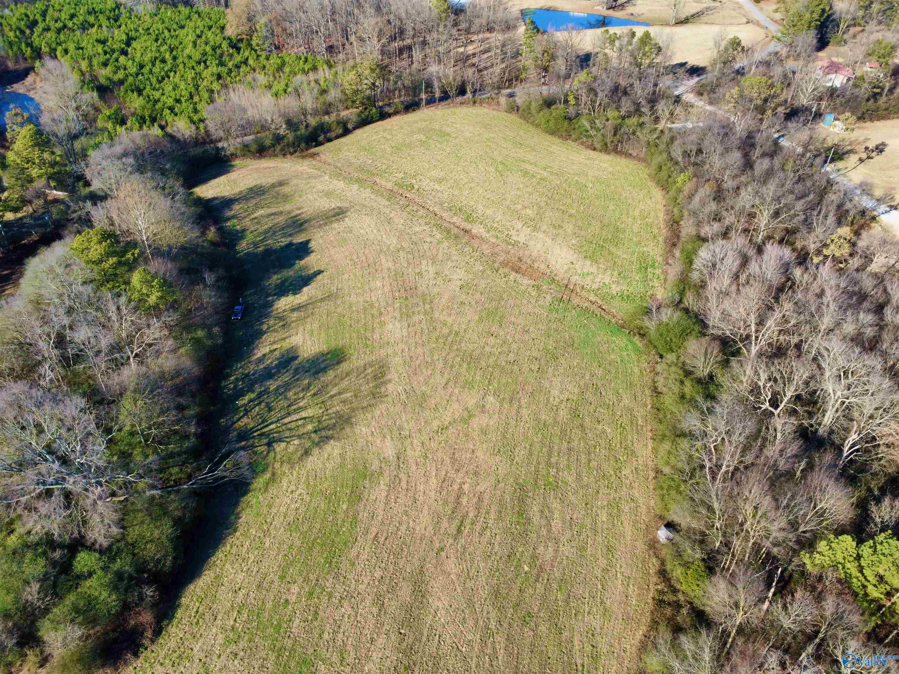 Lot 1 Matt Morrow Road, Arab, Alabama image 1