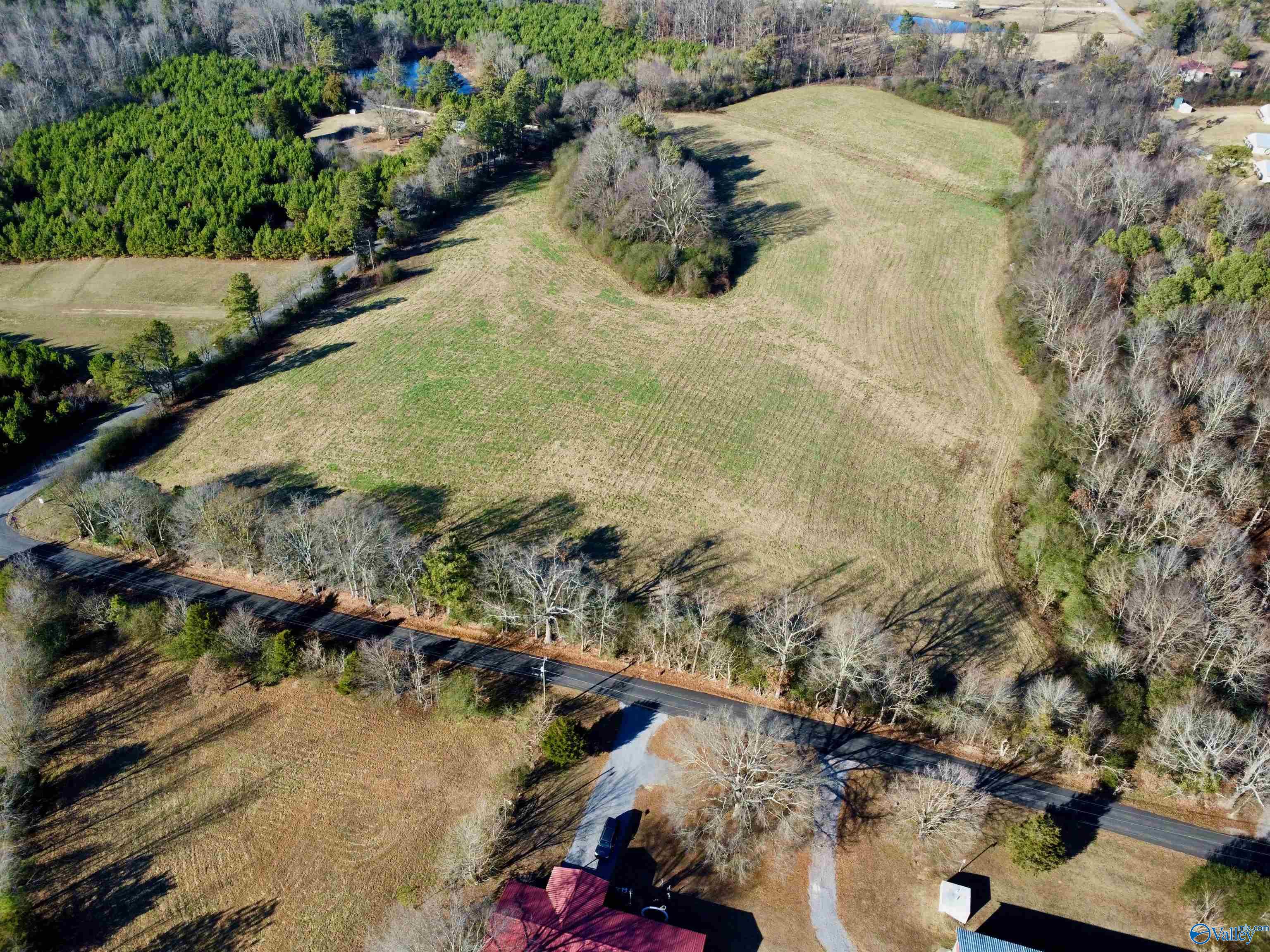 Lot 1 Matt Morrow Road, Arab, Alabama image 5