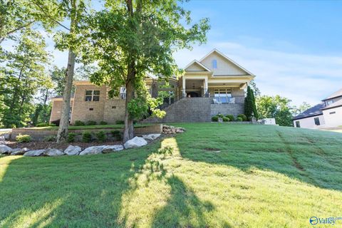 1268 Dug Hill Road Brownsboro AL 35741