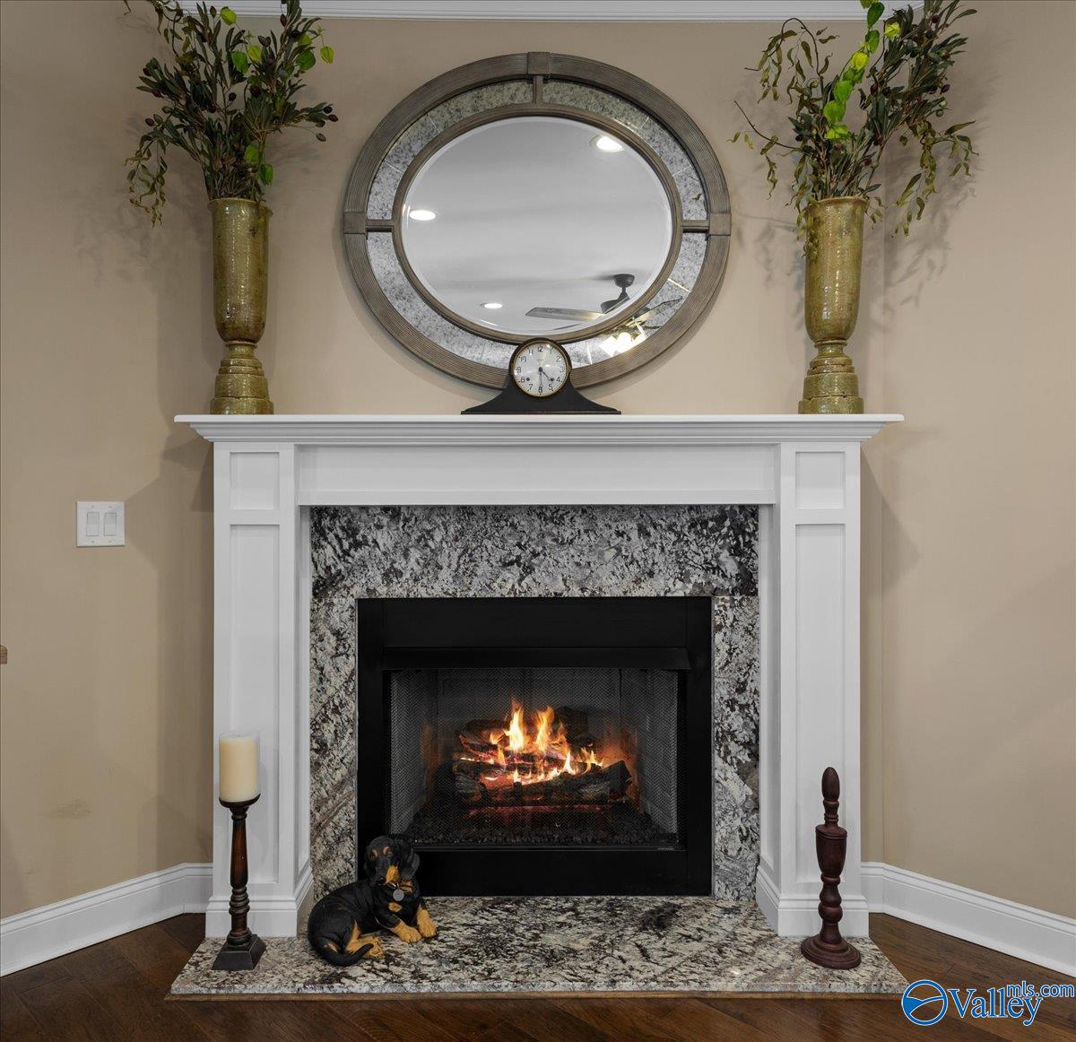 155 Ryan Drive, Guntersville, Alabama image 26